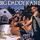 Big Daddy Kane - It's A Big Daddy Thing