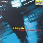 Kenny Neal - Blues Fallin' Down Like