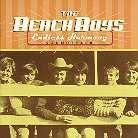 The Beach Boys - Endless Harmony - OST (CD)
