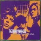 The Dandy Warhols - Not If You Where The Last