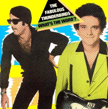 The Fabulous Thunderbirds - What's The World