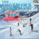 The Spotnicks - In Winterland