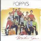 Les Poppys & Paul McCartney - Master Serie