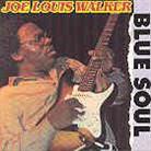Joe Louis Walker - Blue Soul