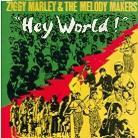 Ziggy Marley - Hey World