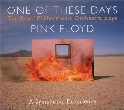 David Palmer - Music Of Pink Floyd
