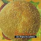 Dread Zeppelin - Hot & Spicy Beanburger - Best Of