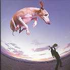 Paul Gilbert (Racer X/Mr. Big) - Flying Dog