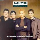 Michael Learns To Rock - Strange Foreign Beauty