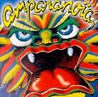 Amparanoia - Feria Furiosa