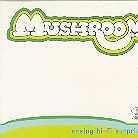 Mushroom - Analog Hi-Fi Suprise