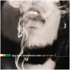 Ziggy Marley - Spirit Of Music