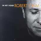 Robert Lamm - In My Head