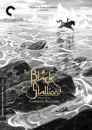 The Black Stallion (1979) (Criterion Collection, 2 DVD)