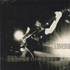 Lovebugs - Radio X - Session - Live