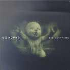 Alice In Chains - Get Born - Mini
