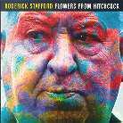 Roderick Stafford - Flowers From Hitchcock