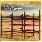 Gin Blossoms - Outside Looking In - Best Of
