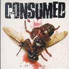 Consumed - Hit For Six