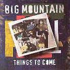 Big Mountain - Things To Come