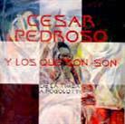 Cesar Pedroso - De La Timba A Pogolotti