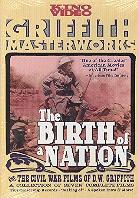 The birth of a nation (1915) (Special Edition, 2 DVDs)