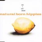 Natural Born Hippies - Am I Not Sweet