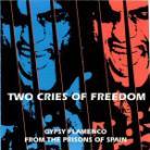 Two Cries For Freedom - Various - Gypsy Flamenco