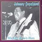 Johnny Copeland - Working Man's Blues