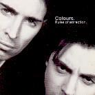 Colours - Rules Of Attraction