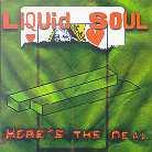 Liquid Soul - Here's The Deal