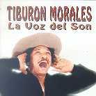 Tiburon Morales - La Voz Del Son