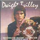 Dwight Twilley - Between The Cracks