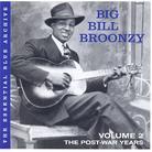 Big Bill Broonzy - Post War Years 2