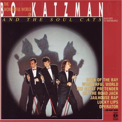 Bo Katzman - And The Soul Cats