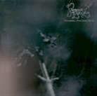 Paragon Of Beauty - Seraphine Far Gone Gleam