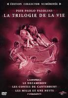 La trilogie de la vie - Les Contes de Canterbury / Le Décaméron / Les mille et une nuits (3 DVDs)