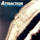 Attraction - Get Up 'N' Shake