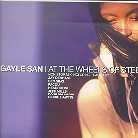 Gayle San - At The Wheels Of Steel
