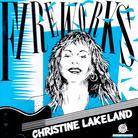 Christine Lakeland - Fireworks