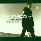 Kai Tracid - Tiefenrausch Pt. 2