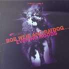 Bob Weir - Evening Moods