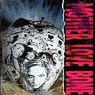Mother Love Bone (Stone Gossard) - Apple