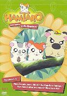 Hamtaro - Kleine Hamster, grosse Abenteuer - Vol. 1-4