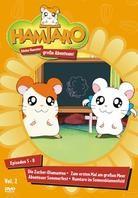 Hamtaro - Kleine Hamster, grosse Abenteuer - Vol. 2