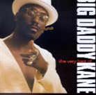 Big Daddy Kane - Best Of