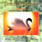 Relaxing Dreams - 01 Rainbow Visions