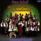 Peter Schad - Sonntagslaune