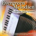 Georg Schwenk - Evergreen Melodien
