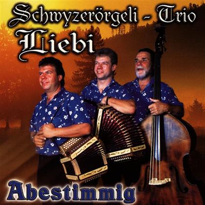 Schwyzerörgeli Trio Liebi - Abestimmig
